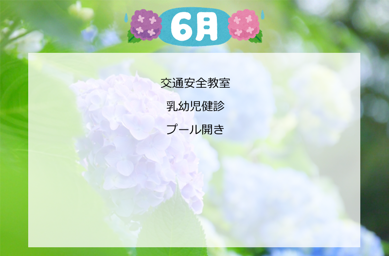 写真の説明を入れます
