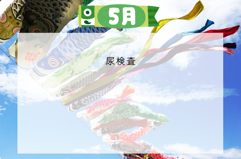 写真の説明を入れます