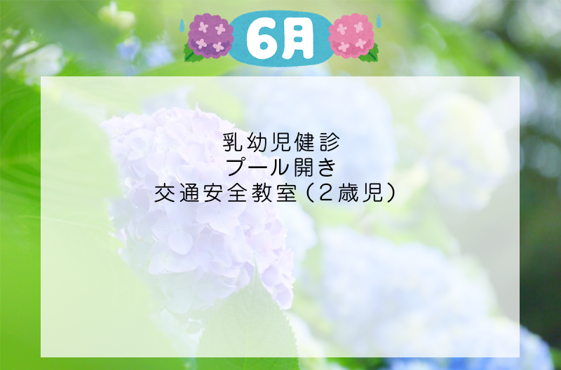 写真の説明を入れます