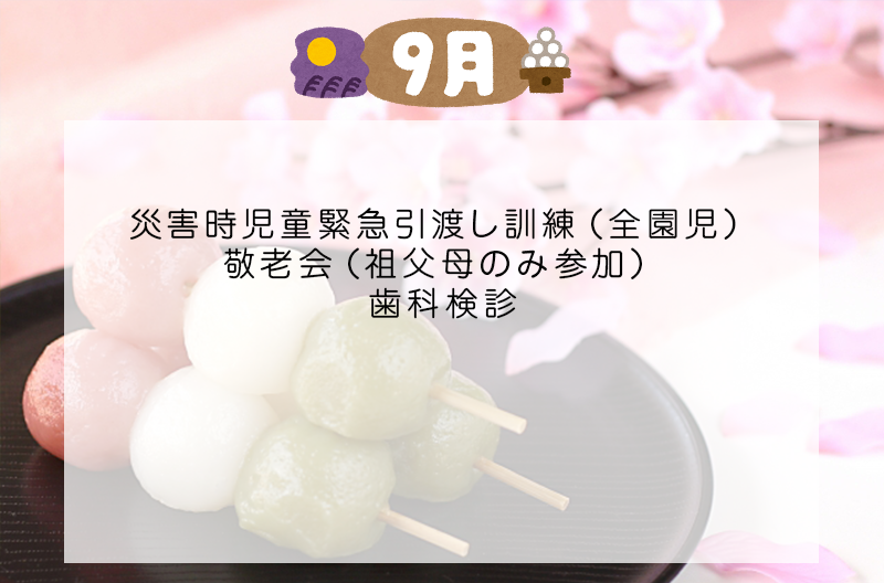 写真の説明を入れます